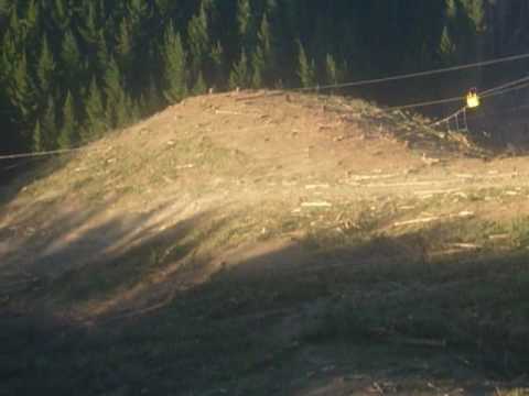 Stewart Logging Ltd New Zealand ( Midill 172)