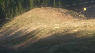 Stewart Logging Ltd New Zealand ( Midill 172)