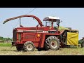 Hesston 7725 + Kemper Champion 4500 | Fiat 1300 - Fiat 1000 DT *170 hp* - Belarus MTZ 80 | CAGNIN