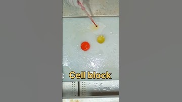 Cell block making process 🤔 | # lab #cellbiology #cellblock #histopathology #labmedicine #labtested