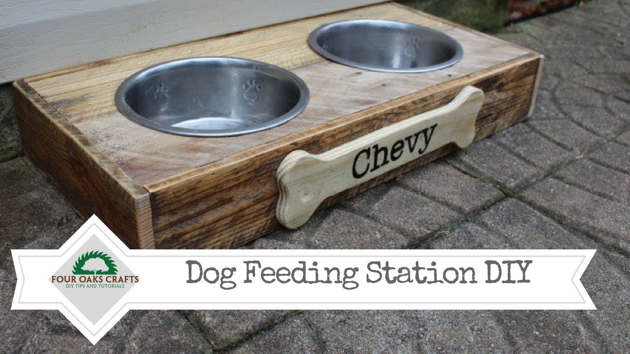 How to Create a Decorative & Functional Pet Feeding Station - The