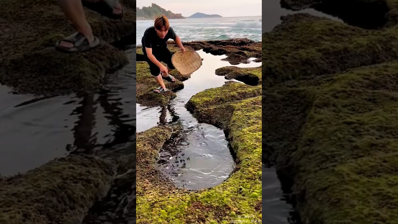 Wow 😮 amazing fishing technique 🎣🤯 