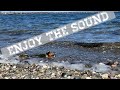 Beach sound is wonderful!