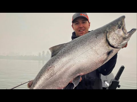 Small River SALMON FISHING Tips, Tricks, & Rigs!