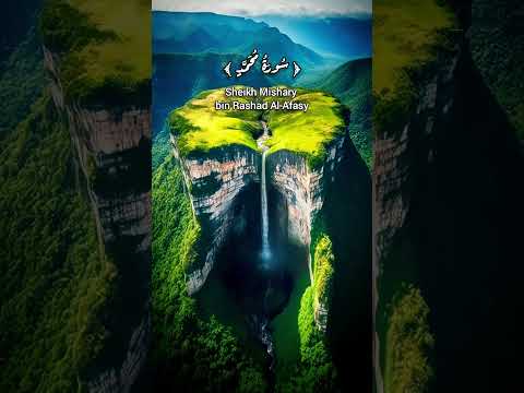 من أشكال نعيم الجنة