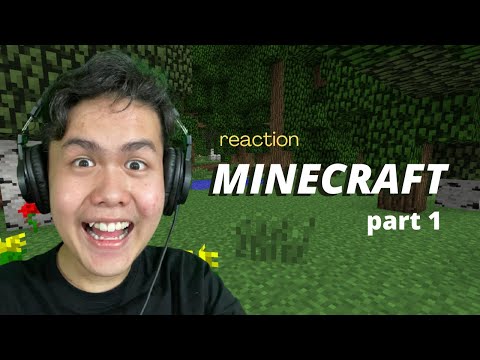 Reaction Minecraft Ter-Aneh ?