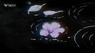 Video-Miniaturansicht von „asleep among endives by ichiko aoba but it's rainy(slowed/reverbed)“