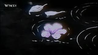 asleep among endives by ichiko aoba but it's rainy(slowed/reverbed)