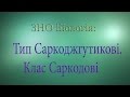 ЗНО Біологія  Тип Саркоджгутикові  Клас Саркодові