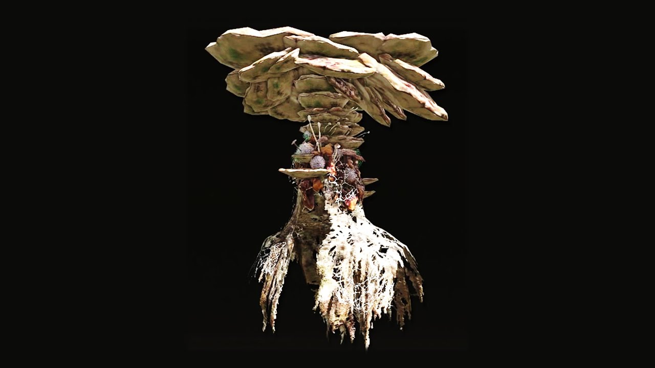 Elden Ring Mushroom Set & Mushroom Crown YouTube