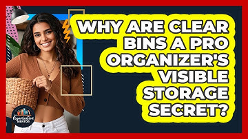 Why Are Clear Bins A Pro Organizer