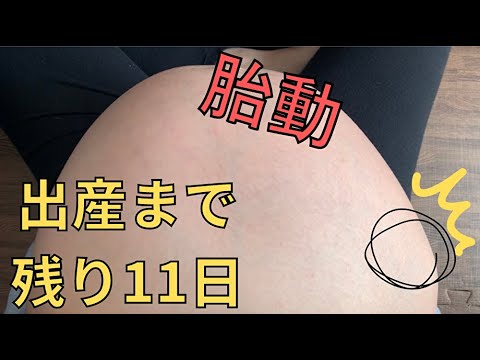 【臨月の胎動】出産まであと11日　Fetal movement　Full month