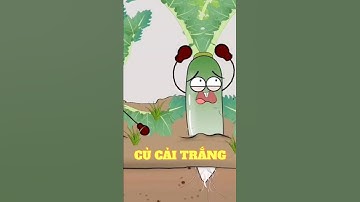 FUNNY VIDEO - CỦ CẢI TRẮNG KHỔNG LỒ #shortvideo #funny #animals #shorts #funnyvideo #fyp #haihuoc