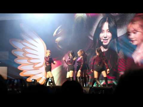 [FANCAM] AOA -