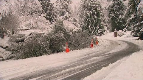 Snow falls across the Puget Sound region