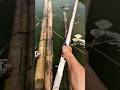 #Fishing #mancing #OceanFishing #RiverFishing #CatchAndCook #OutdoorLife #storymancing #bangfaizwoi