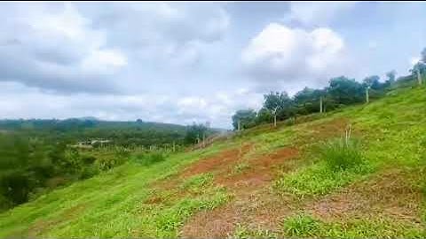 Đất nền view núi,hồ ở Lộc An,Bảo Lâm,Lâm Đồng