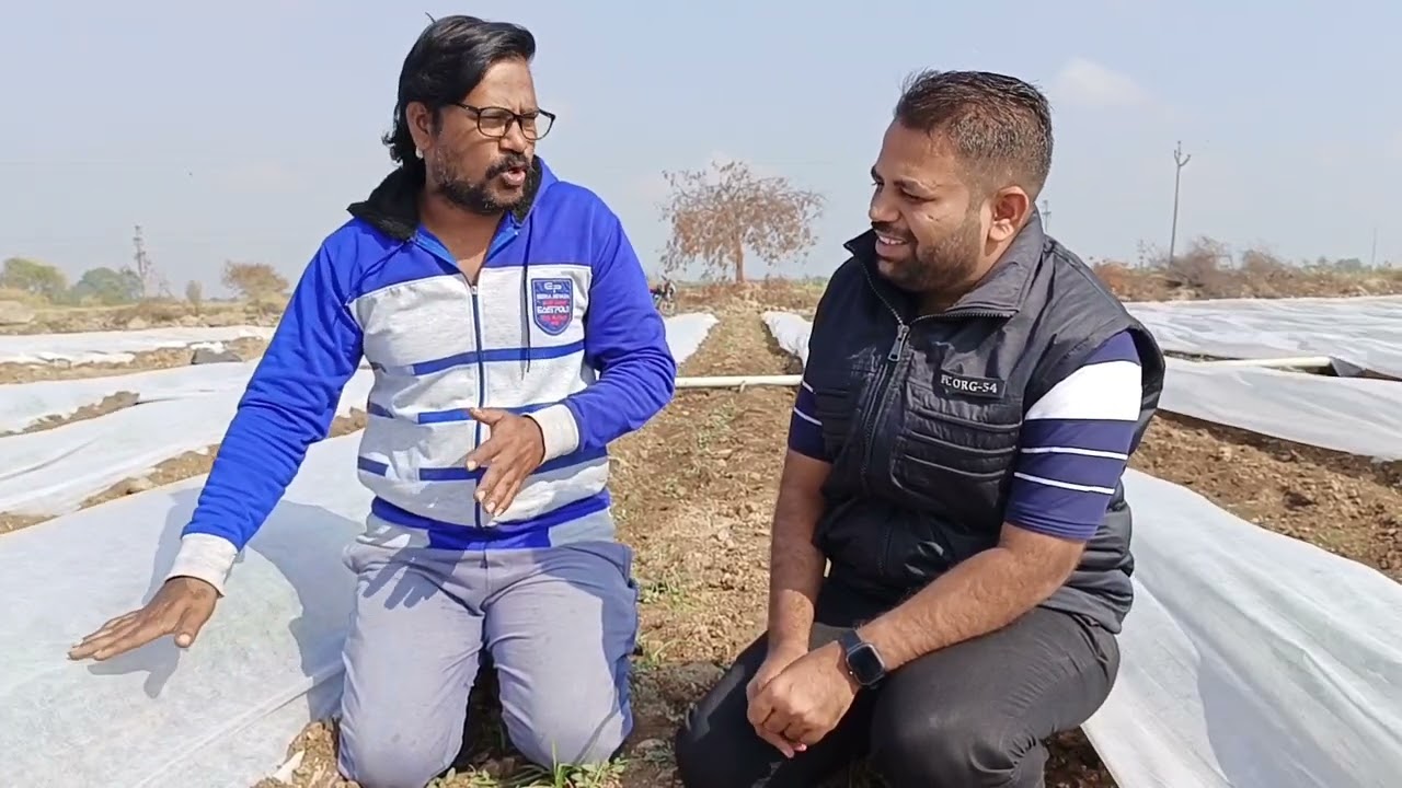 फायद्याचे क्रॉप कव्हर | कसे वापरणे |किती खर्च येते? #रोहित_बोरगावे #बालाजी_लोहूकरे