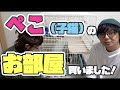 【子猫】ぺこ のお部屋(カインズホームのキャットケージ)を買いました！【かわいい猫】