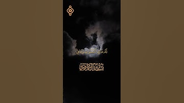 رعد محمد الكردي من أجمل ما قرأ - سورة طه كاملة بتلاوة خاشعة
