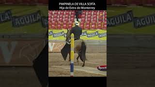 PIMPINELA DE VILLA SOFIA TROTE Y GALOPE GIRARDOT 2012 #troteygalope #horse #shortsvideo