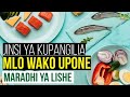 Jinsi Ya Kupangilia Mlo Wako Upone Maradhi Ya Lishe KISUKARI KITAMBI PRESHA NGUVU ZA KIUME Nk 