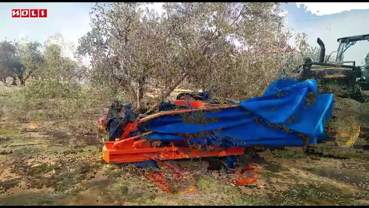 Vibradora Noli Modelo VFHEG con Paraguas PAG