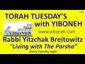 Rabbi Yitzchak Breitowitz: Why God Chose Abraham and the secret of the two Heys