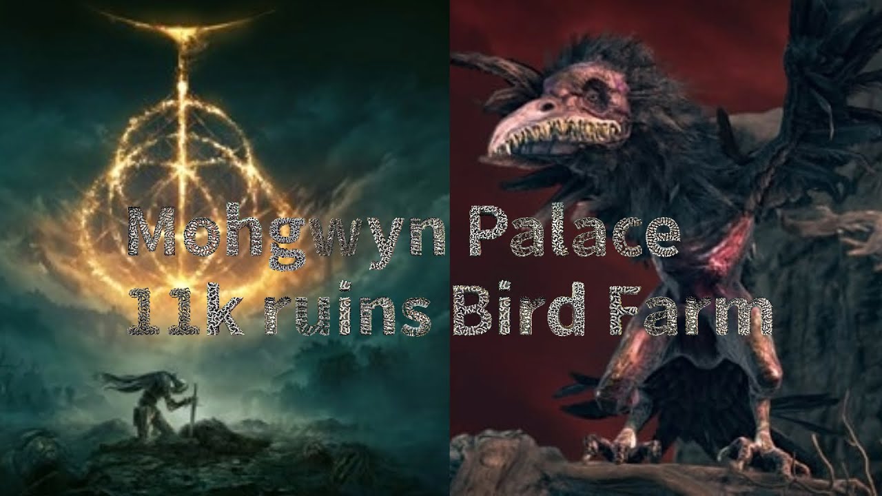 One Shot One Bird: 11k Ruins Every 30 Seconds At Mohgwyn Palace best ruin farm