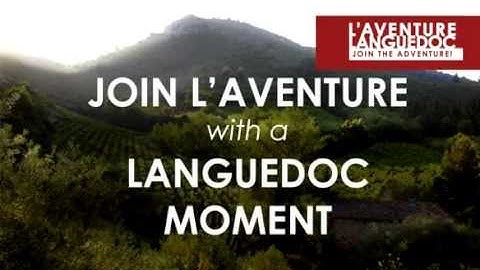 Languedoc Moment: Robert Morrison on 3 things to remember about AOC Languedoc wines