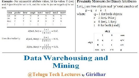 Proximity measures for Binary Attributes in Telugu | Giridhar | Part-5