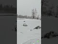 Winter Silence at the Bow River 🌨️ | Snowy Afternoon in Calgary