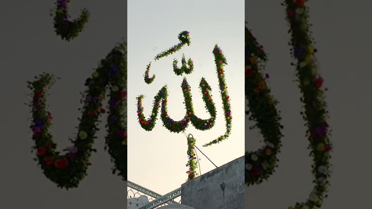 aaye shere arab ba tu hai rab 🤲🕌🌹
