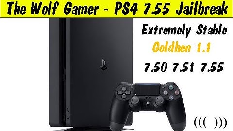 The Wolf Gamer With GoldHen 1.1 And Orbis Toolbox | GoldHen 1.1