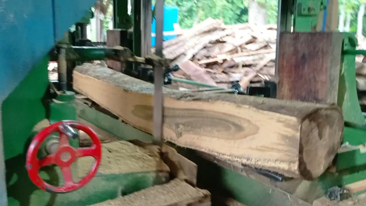 Large and small pieces of wood are swept away at the sawmill 