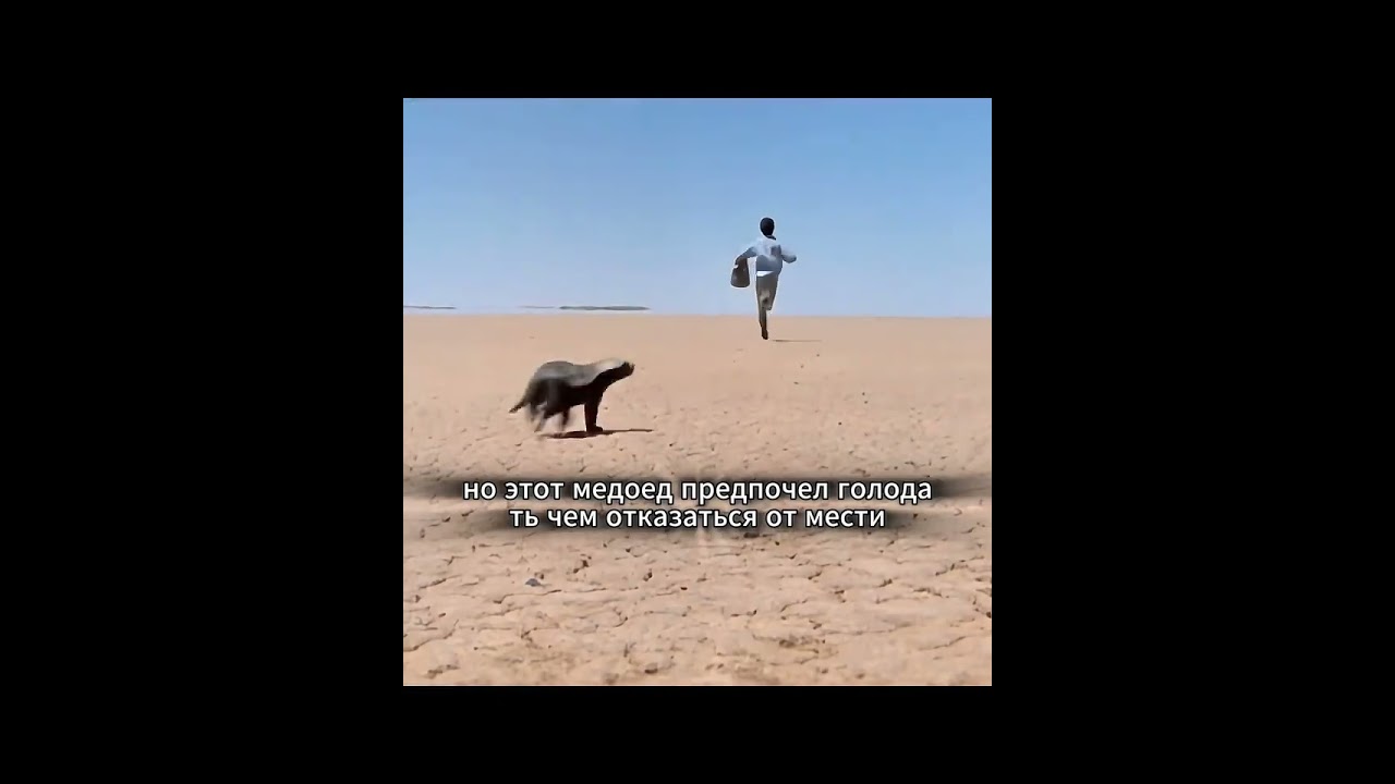 смотри до конца рекомендую в фильм