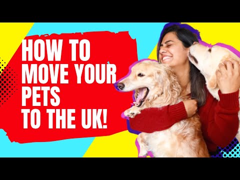 uk gov travel with pets