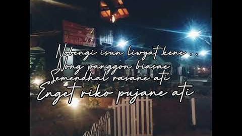 Story WA bahasa Using Banyuwangi