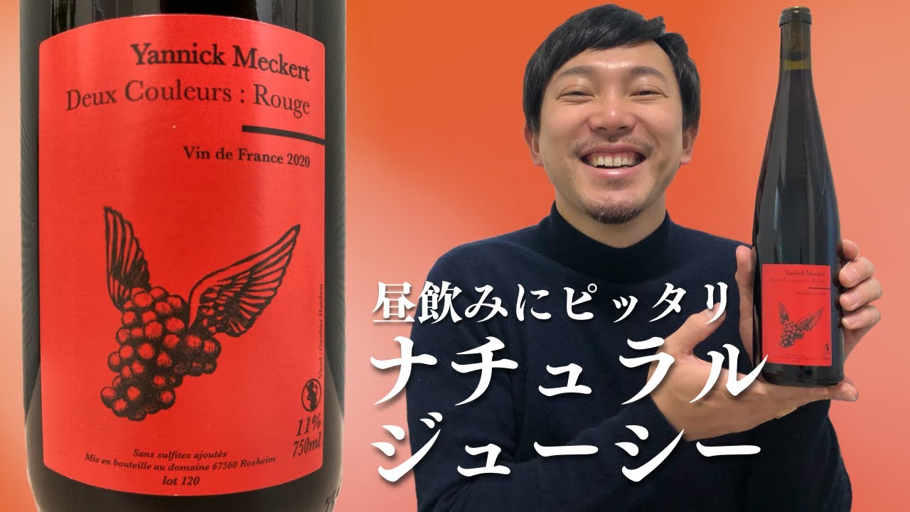 フランス/赤ワイン】惚れ込んだ生産者、ヤニックのカジュアルピノ