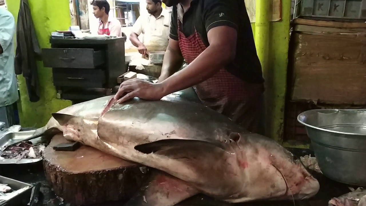 Trichy fish market Abdullah YouTube