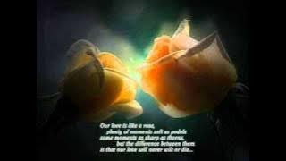 EK ANJAN LADKI........