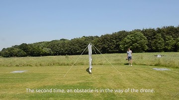 Waypoint navigation with obstacle avoidance