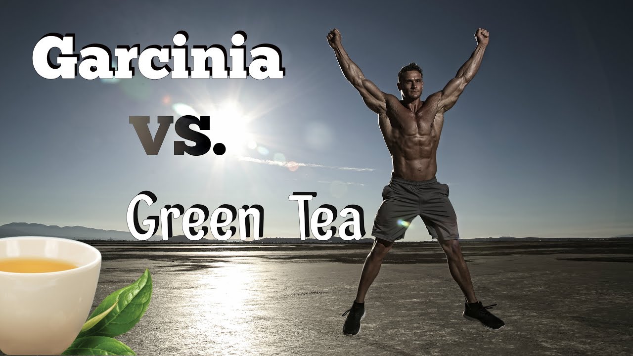 Garcinia Cambogia vs Green Tea for Fat Loss Thomas DeLauer