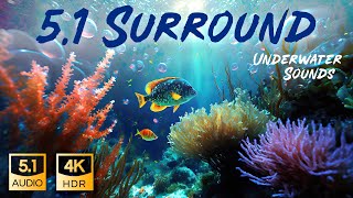 Underwater 5.1 Surround Sound Dolby Digital 4K HDR