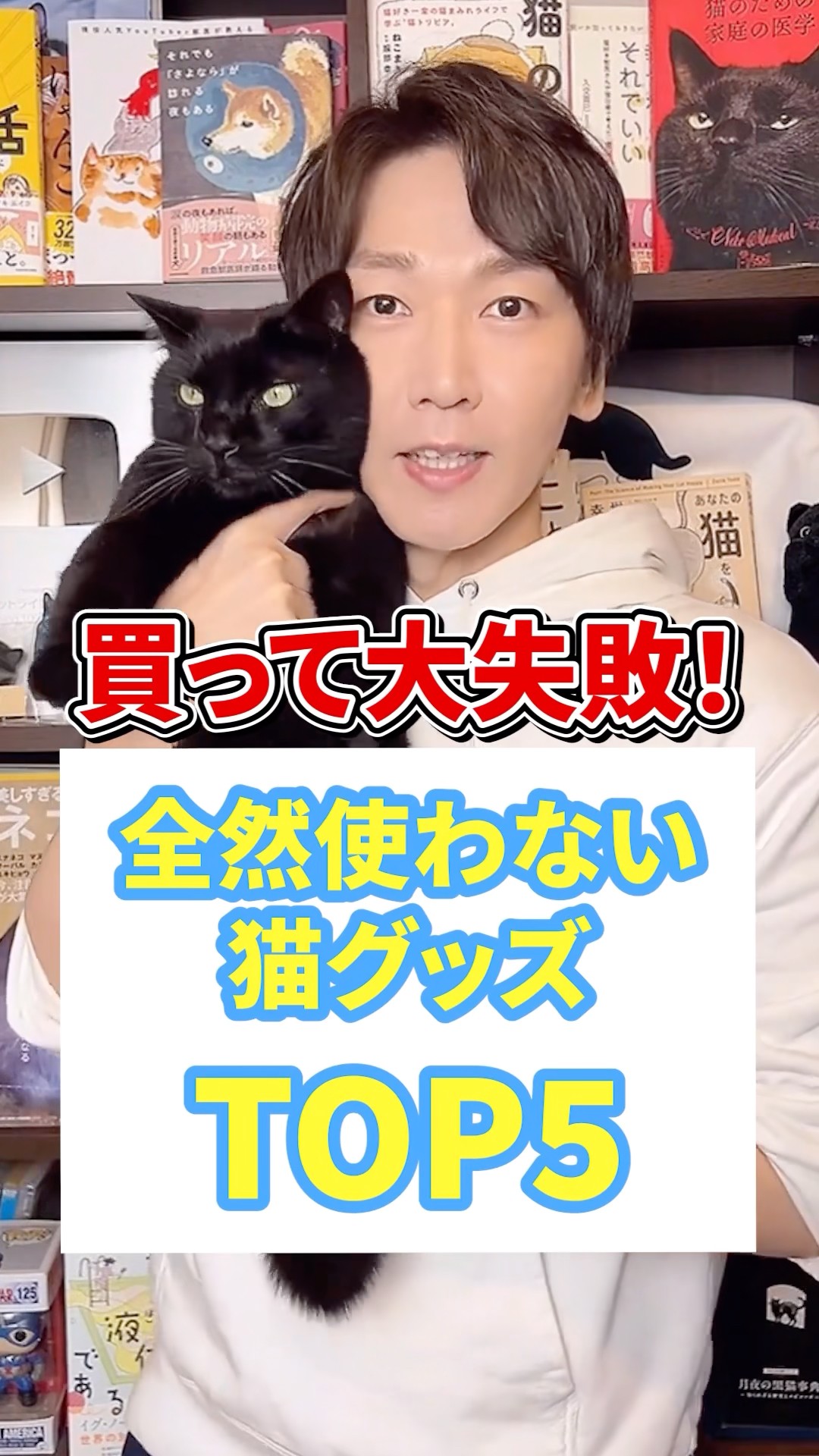 買って大失敗！全然使わない猫グッズトップ5 #猫 #猫のいる暮らし