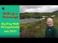 Big Dog Forest Walk, Derrygonnelly, Co. Fermanagh, N. Ireland, July 2021