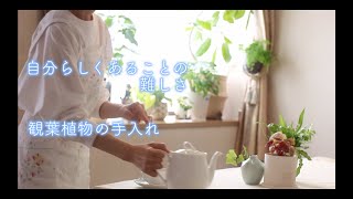 [自分らしくあることの難しさ vlog] 観葉植物の手入れ/自家製調味料 塩ゆず/塩ゆずの応用レシピ