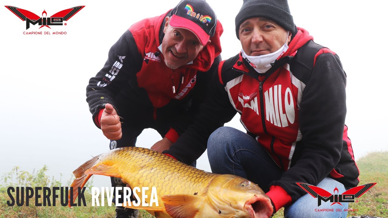 MILO TV Carpe con Bolognese Superfulk Riversea YouTube