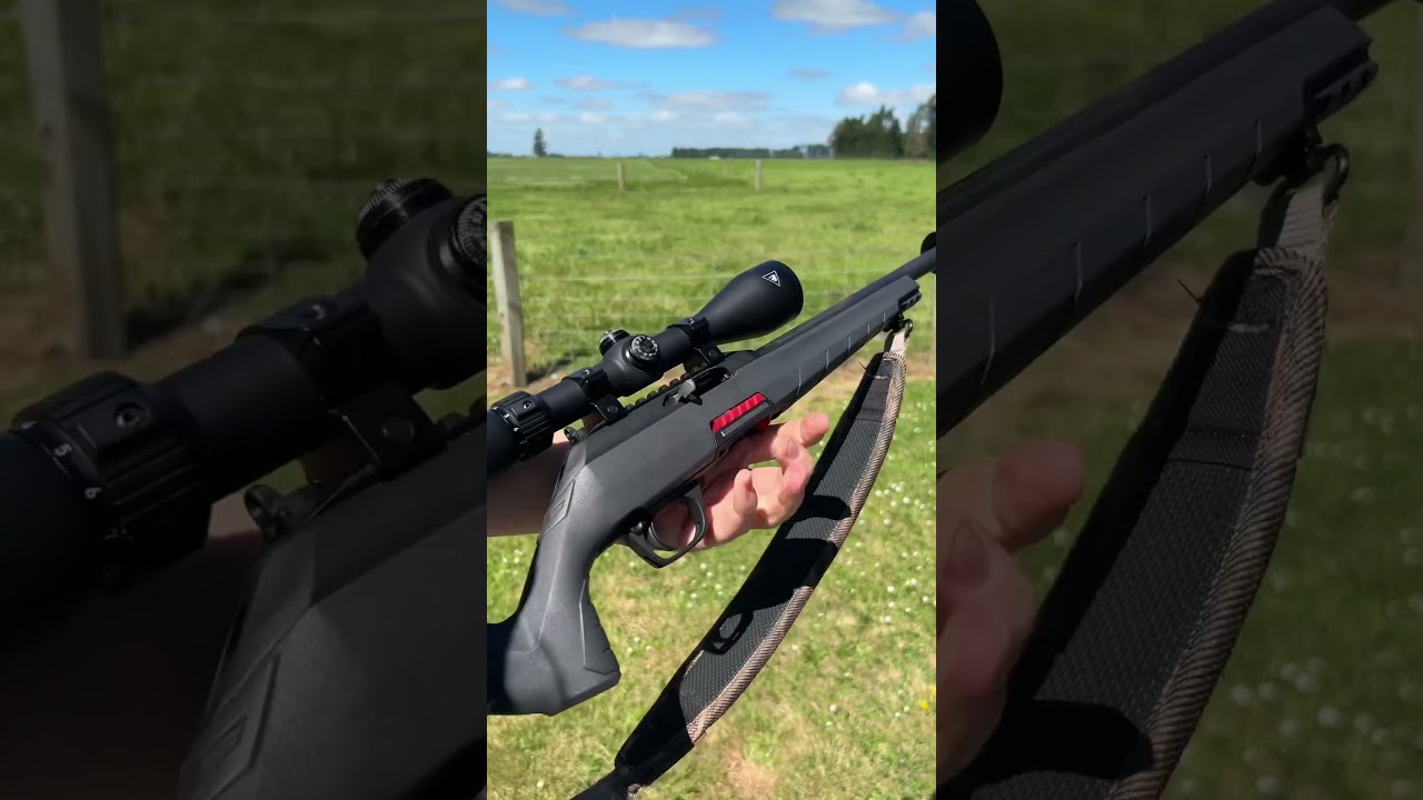 Лучше ли Winchester Wildcat, чем 10/22? 