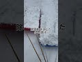 もう雪ええて、、、、